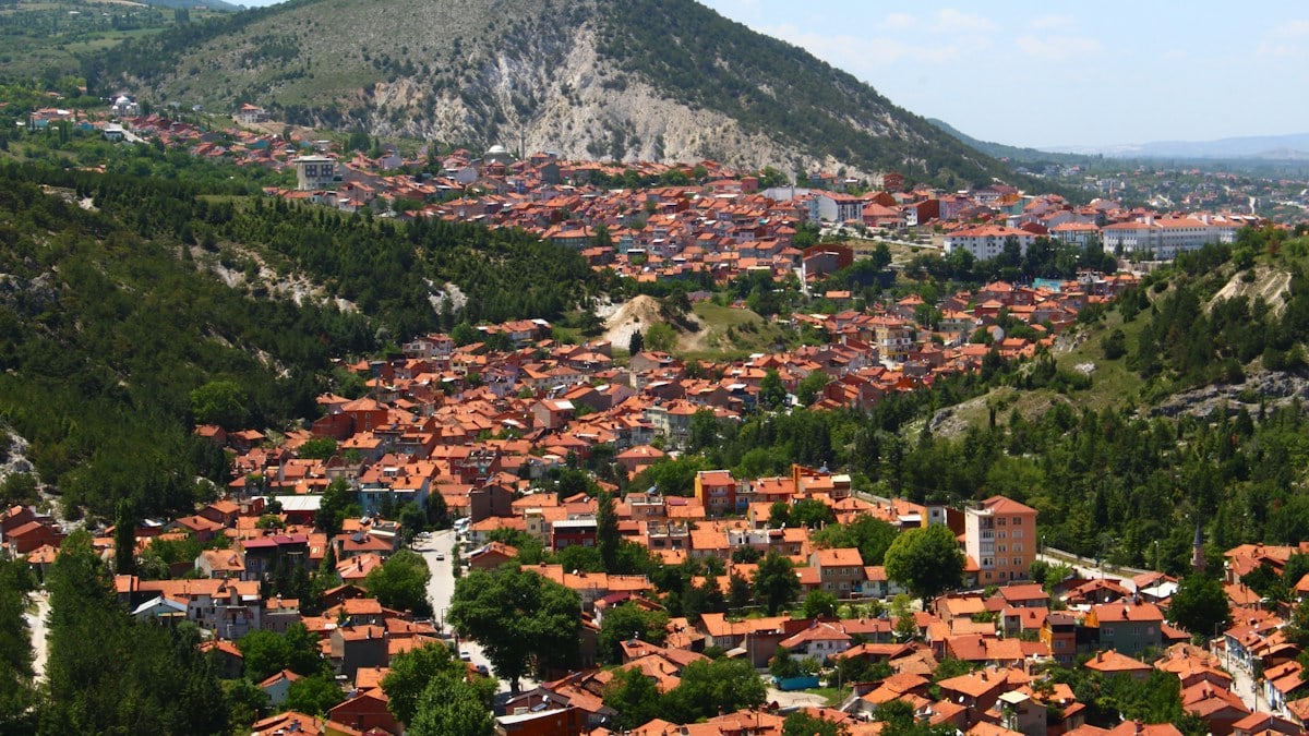 aerial view of city near mountain during daytime